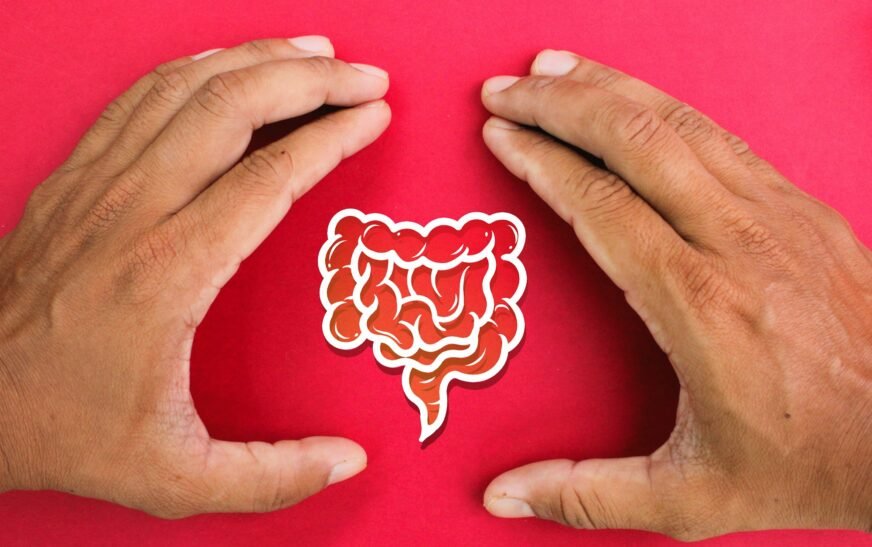 The Role of Gut Microbiota in Health: Gut-Brain Connection Explored