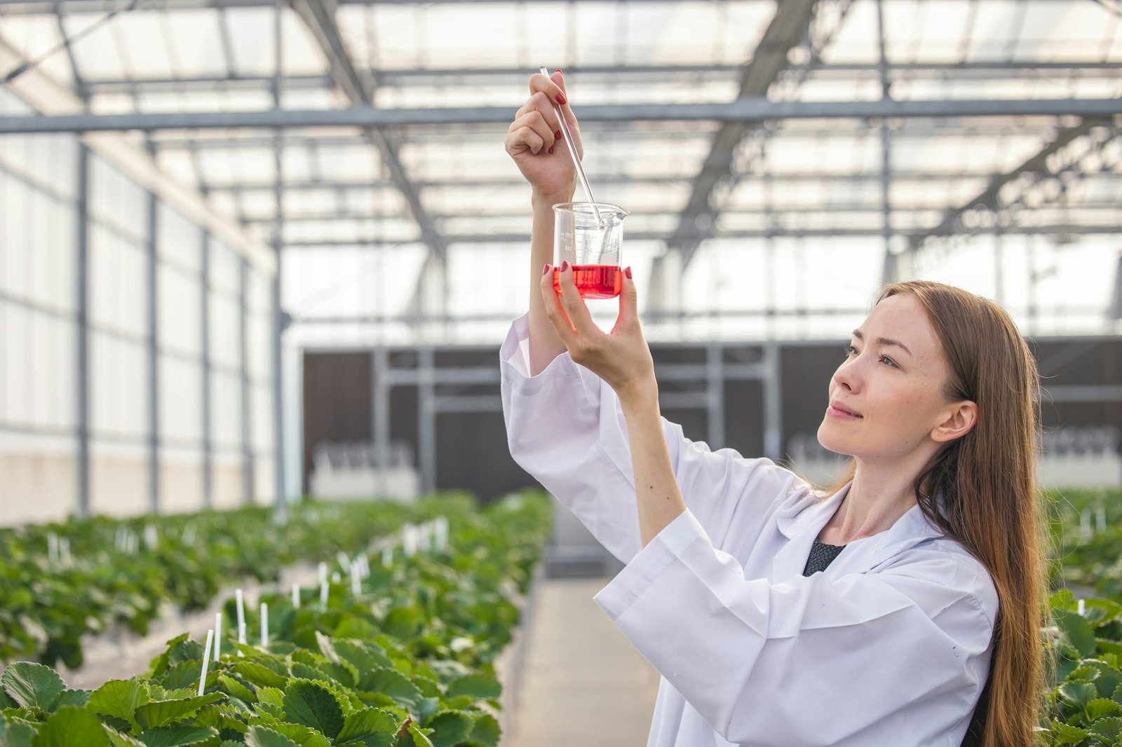 scientist working in organic agriculture farm research new chemical formula